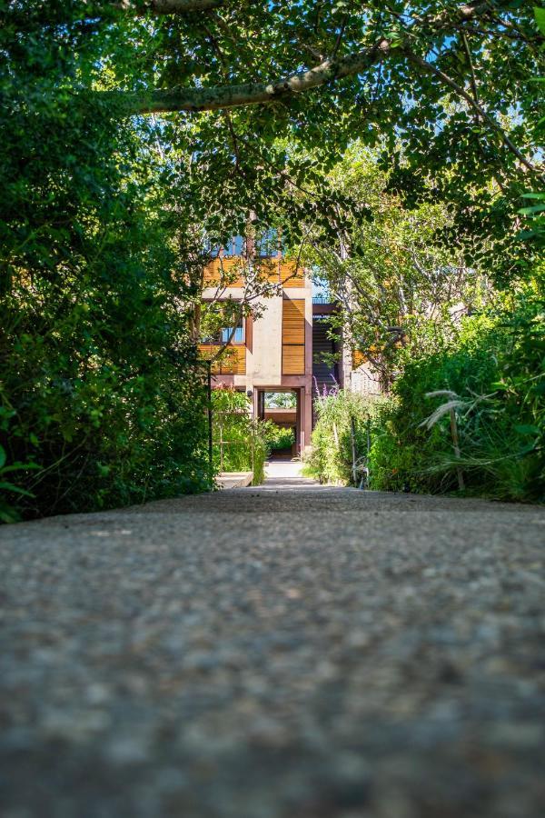 Casa De Agua Otel Tepoztlán Dış mekan fotoğraf